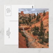 Tropic Ditch Briefkaart (Voorkant / Achterkant)