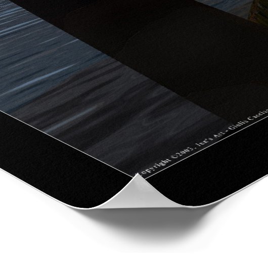 Tropic Sky Poster (Hoek)