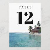 Tropical Beach Elegant Modern Table Number Kaart (Achterkant)