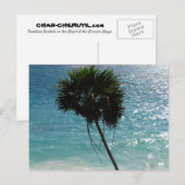 Tropical Beach Palm Tree Postcard Briefkaart (Voorkant / Achterkant)