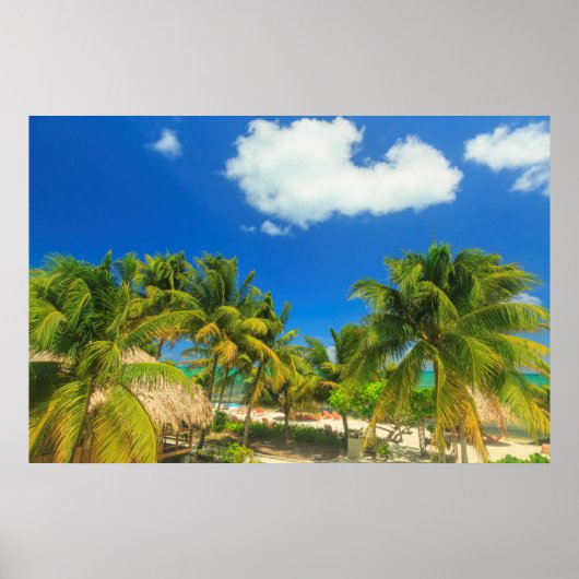 Tropical beach resort, Belize Poster (Voorkant)