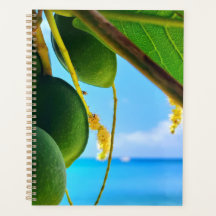 Tropical Beach Vibes Planner | op het Caribisch ge