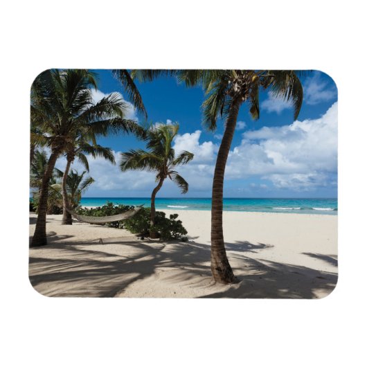 Tropical Beaches Anguilla Beach, Palm Tree Magneet (Horizontaal)