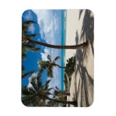 Tropical Beaches Anguilla Beach, Palm Tree Magneet (Verticaal)