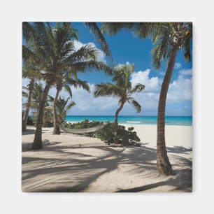 Tropical Beaches Anguilla Beach, Palm Tree Magneet