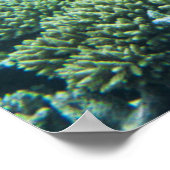Tropical Beaches Ari Atoll Maldives Poster (Hoek)