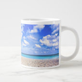 Tropical Beaches | Aruba Sandy Beach Grote Koffiekop (Rechts)