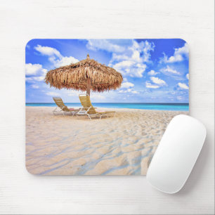 Tropical Beaches   Aruba Sandy Beach Muismat