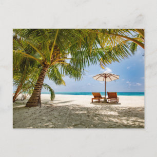 Tropical Beaches Beach Dominican Republic Briefkaart