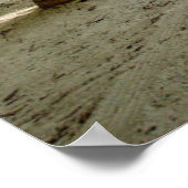 Tropical Beaches | Beach Dominican Republic Poster (Hoek)