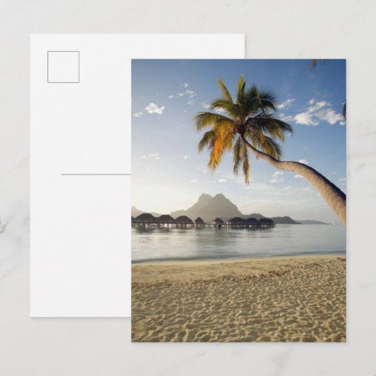 Tropical Beaches Bora Bora Briefkaart (Voorkant / Achterkant)