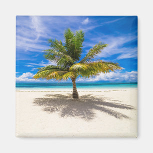 Tropical Beaches Bora Bora, French Polynesia Magneet