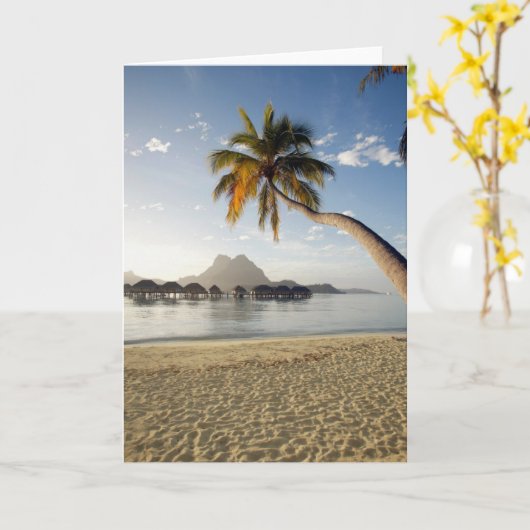 Tropical Beaches Bora Bora Kaart (Gele Bloem)