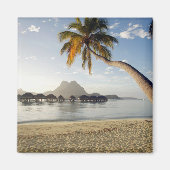Tropical Beaches Bora Bora Magneet (Voorkant)