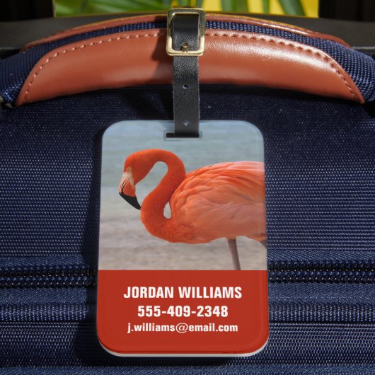 Tropical Beaches Caribbean Flamingo, Aruba Bagagelabel (Voorkant Insitu 2)