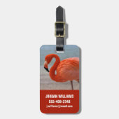 Tropical Beaches Caribbean Flamingo, Aruba Bagagelabel (Voorkant verticaal)