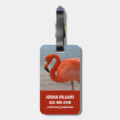 Tropical Beaches Caribbean Flamingo, Aruba Bagagelabel (Achterkant verticaal)