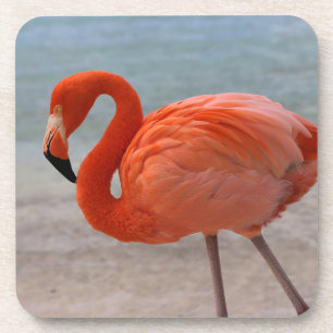 Tropical Beaches Caribbean Flamingo, Aruba Bier Onderzetter