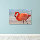 Tropical Beaches Caribbean Flamingo, Aruba Canvas Afdruk (Insitu (Houten vloer))