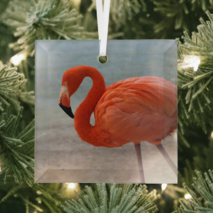 Tropical Beaches Caribbean Flamingo, Aruba Glas Ornament