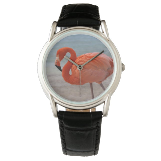 Tropical Beaches | Caribbean Flamingo, Aruba Horloge (Voorkant)