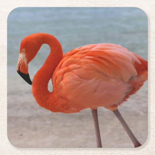 Tropical Beaches Caribbean Flamingo, Aruba Kartonnen Onderzetters (Voorkant)