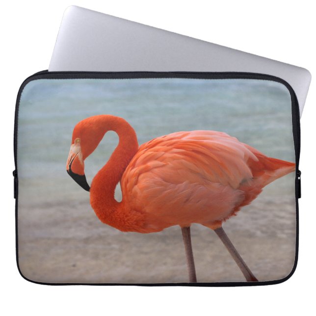 Tropical Beaches Caribbean Flamingo, Aruba Laptop Sleeve (Voorkant)