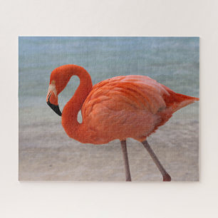 Tropical Beaches Caribbean Flamingo, Aruba Legpuzzel