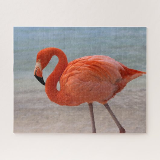 Tropical Beaches Caribbean Flamingo, Aruba Legpuzzel (Horizontaal)