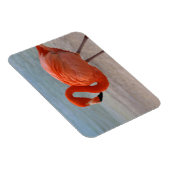 Tropical Beaches Caribbean Flamingo, Aruba Magneet (Rechterzijde)