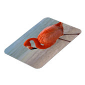 Tropical Beaches Caribbean Flamingo, Aruba Magneet (Linkerzijde)