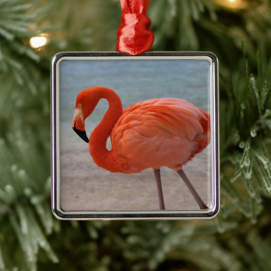 Tropical Beaches Caribbean Flamingo, Aruba Metalen Ornament (Boom)