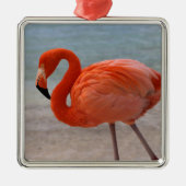 Tropical Beaches Caribbean Flamingo, Aruba Metalen Ornament (Voorkant)