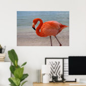 Tropical Beaches Caribbean Flamingo, Aruba Poster (Thuiskantoor)