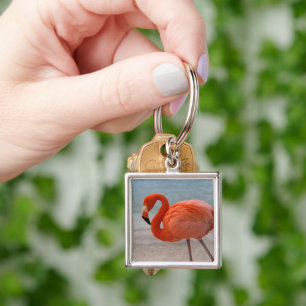 Tropical Beaches Caribbean Flamingo, Aruba Sleutelhanger