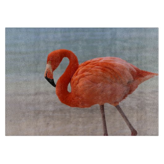 Tropical Beaches Caribbean Flamingo, Aruba Snijplank (Voorkant)