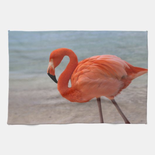Tropical Beaches | Caribbean Flamingo, Aruba Theedoek (Horizontaal)