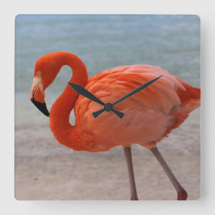 Tropical Beaches Caribbean Flamingo, Aruba Vierkante Klok