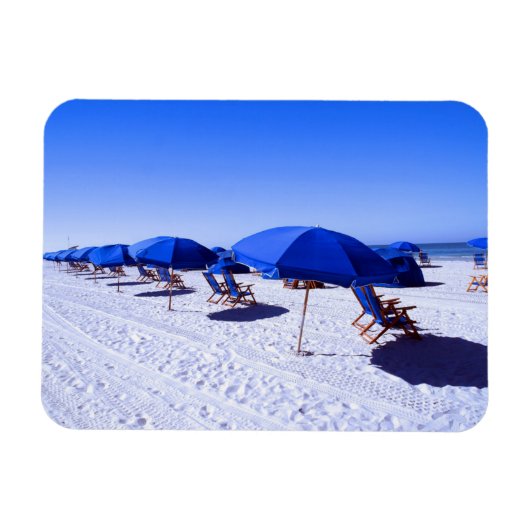 Tropical Beaches | Clearwater, Florida Magneet (Horizontaal)