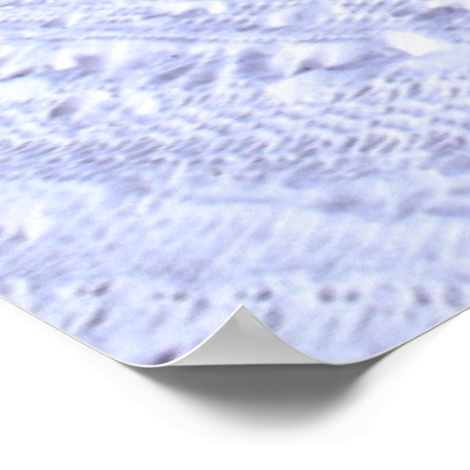 Tropical Beaches | Clearwater, Florida Poster (Hoek)