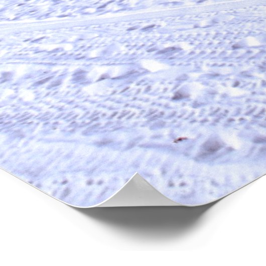 Tropical Beaches | Clearwater, Florida Poster (Hoek)