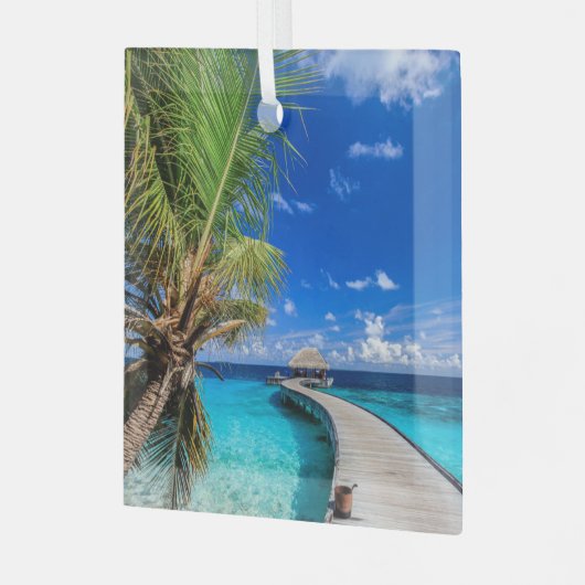 Tropical Beaches Dusit Thani Maldives Glas Ornament (Voorkant links)