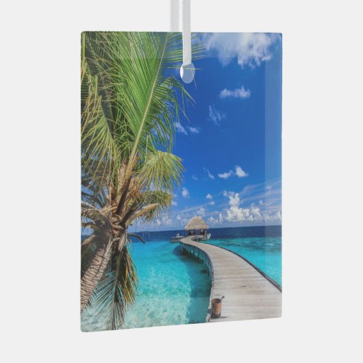 Tropical Beaches Dusit Thani Maldives Glas Ornament (Voorkant Rechts)