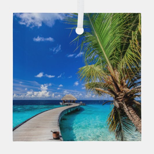Tropical Beaches Dusit Thani Maldives Glas Ornament (Achterkant)