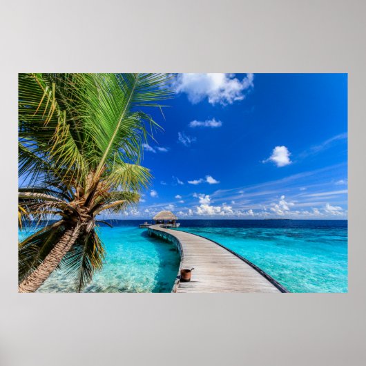 Tropical Beaches Dusit Thani Maldives Poster (Voorkant)