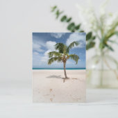 Tropical Beaches Eagle Beach, Aruba Briefkaart (Staand voorkant)