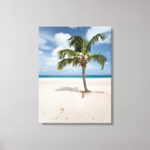 Tropical Beaches Eagle Beach, Aruba Canvas Afdruk