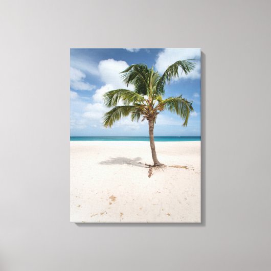 Tropical Beaches Eagle Beach, Aruba Canvas Afdruk (Voorkant)