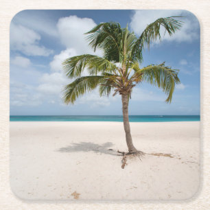Tropical Beaches Eagle Beach, Aruba Kartonnen Onderzetters
