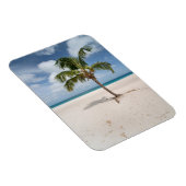 Tropical Beaches Eagle Beach, Aruba Magneet (Rechterzijde)